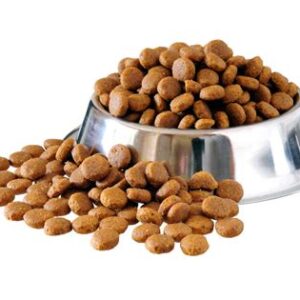 Dry Food